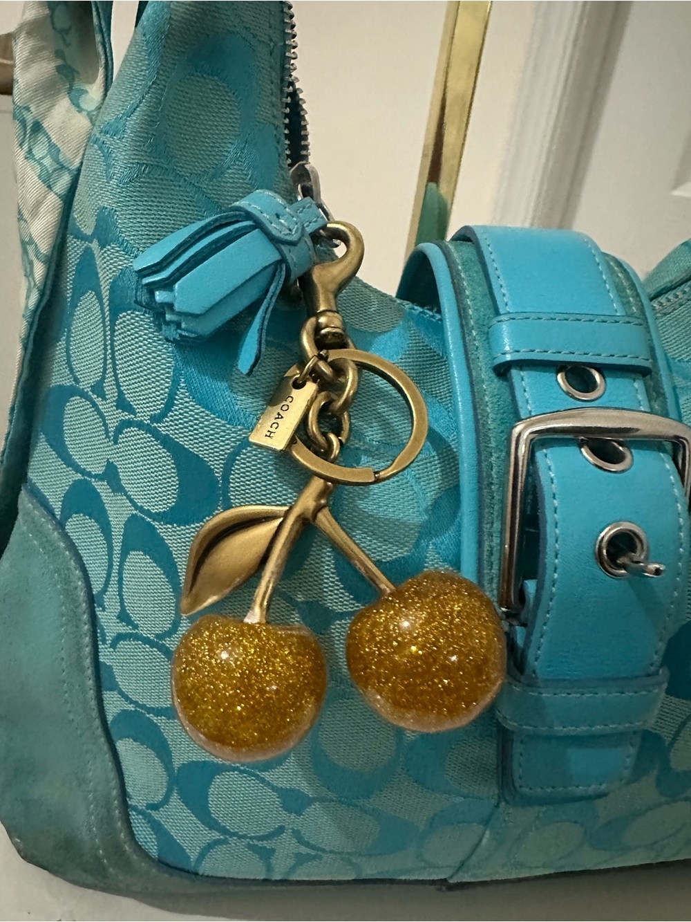 Coach Cherry Bag Charm